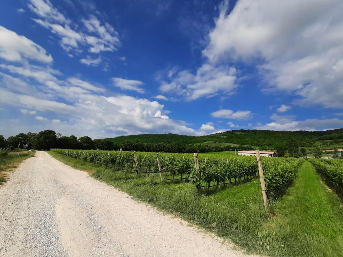 Agriturismo Andreis Alloggi Illasi Buitenkant foto