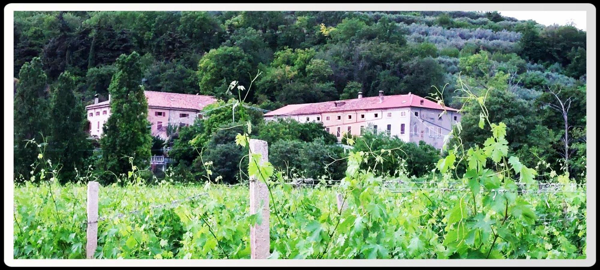 Agriturismo Andreis Alloggi Illasi Buitenkant foto